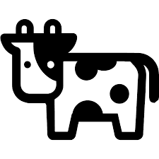 Beefy Finance